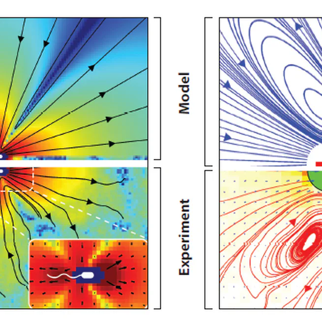 Homogenization of Active Suspensions and Reduction of Effective Viscosity