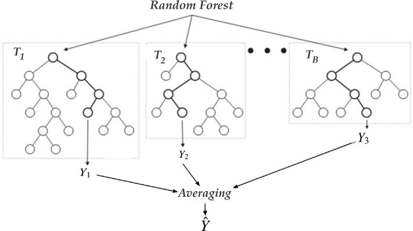 random forest