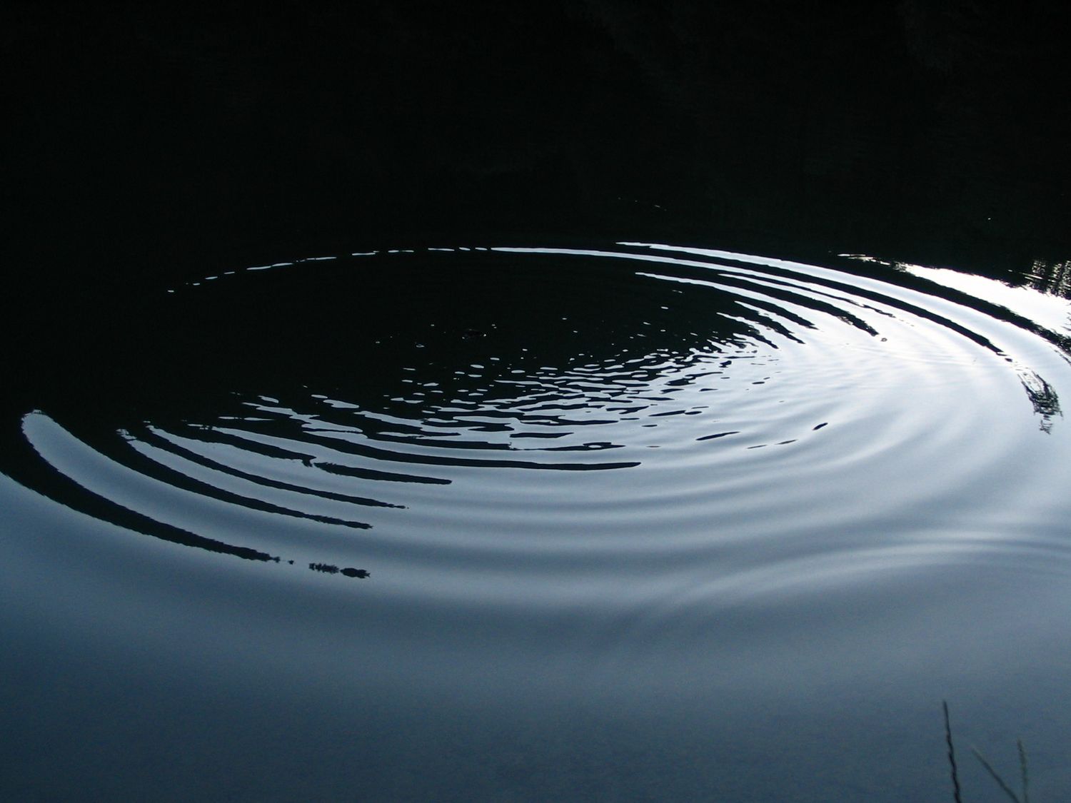 Ondes en eau peu profonde