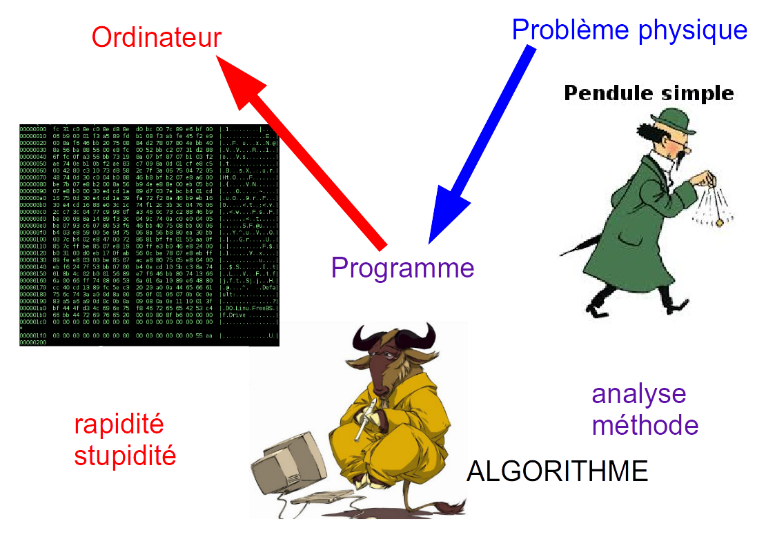 programmation scientifique