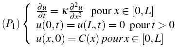 $\displaystyle (P_{1})\left\{ \begin{array}{l} \frac{\partial u}{\partial t}=\ka...
...pour }t>0 u(x,0)=C(x) \mbox{}{pour }x\in\left[0,L\right]\end{array}\right.$