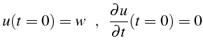 $\displaystyle u(t=0)=w    \„    \frac{\partial u}{\partial t}(t=0)=0$