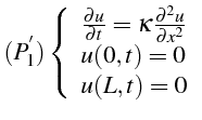 $\displaystyle (P_{1}^{^{\prime}})\left\{ \begin{array}{l} \frac{\partial u}{\pa...
...ppa\frac{\partial^{2}u}{\partial x^{2}} u(0,t)=0 u(L,t)=0\end{array}\right.$