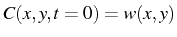 \bgroup\color{black}$ C(x,y,t=0)=w(x,y)$\egroup