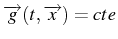 \bgroup\color{black}$ \overrightarrow{g}(t,\overrightarrow{x})=cte$\egroup