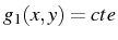 $ g_{1}(x,y)=cte$