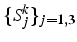 $\{ S_{j}^{k}\}_{j=1,3}$