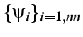 $\{\psi_{i}\}_{i=1,nn}$