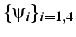 $\{\psi_{i}\}_{i=1,4}$