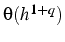 $\theta(h^{1+q})$