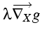 $\displaystyle \lambda\overrightarrow{\nabla_{X}}g$