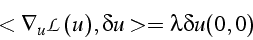 \begin{displaymath}
<\nabla_{u}\mathcal{L}(u),\delta u>=\lambda\delta u(0,0)\end{displaymath}