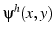 $\psi^{h}(x,y)$