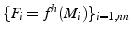 $\{ F_{i}=f^{h}(M_{i})\}_{i=1,nn}$