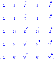 matrix([[1, s, s^2, s^3, s^4], [1, t, t^2, t^3, t^4], [1, u, u^2, u^3, u^4], [1, v, v^2, v^3, v^4], [1, w, w^2, w^3, w^4]])