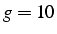 $g=10$